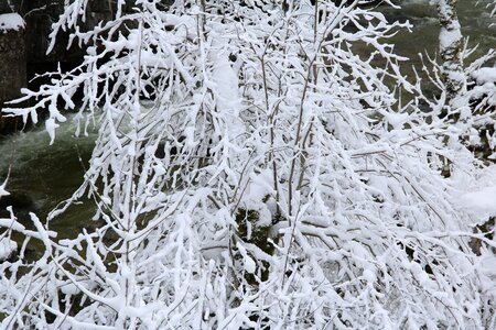 Winter snow cold