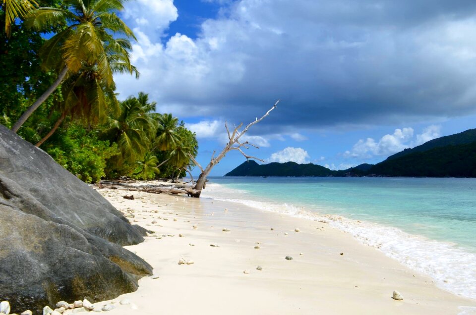 Nature sand tropical