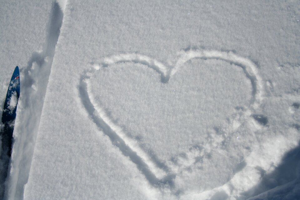 Snow no person winter