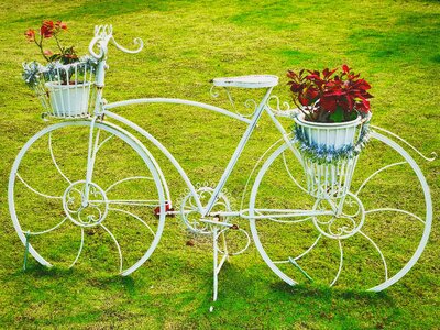 Garden bicycle romantic