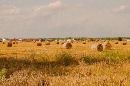 Landscape straw rural district photo