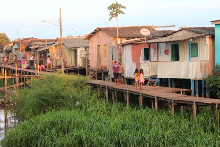 Amazonas brazil