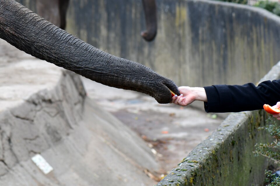 Trust nature human