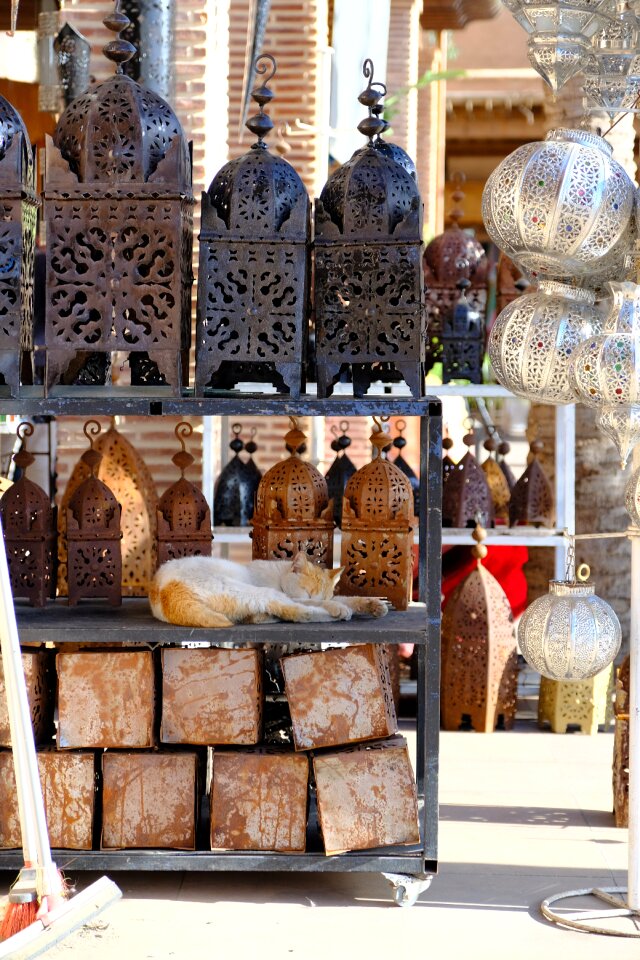 Kitty shop market