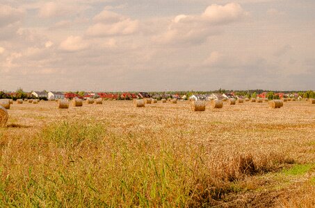 Landscape straw rural district