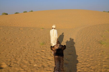 Travel outdoors camel photo