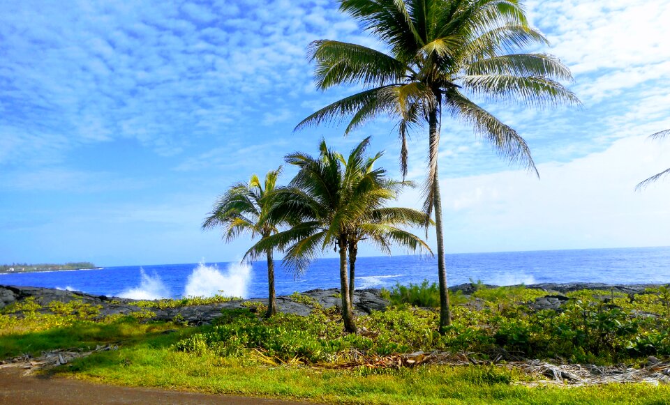 Tropical island the big island