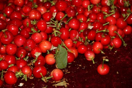 Food berry health
