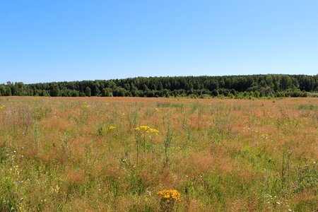Nature panoramic sky