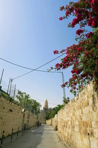 On city jerusalem