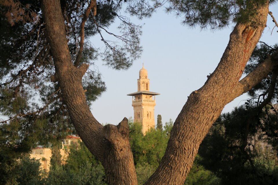 Nature minaret jerusalem