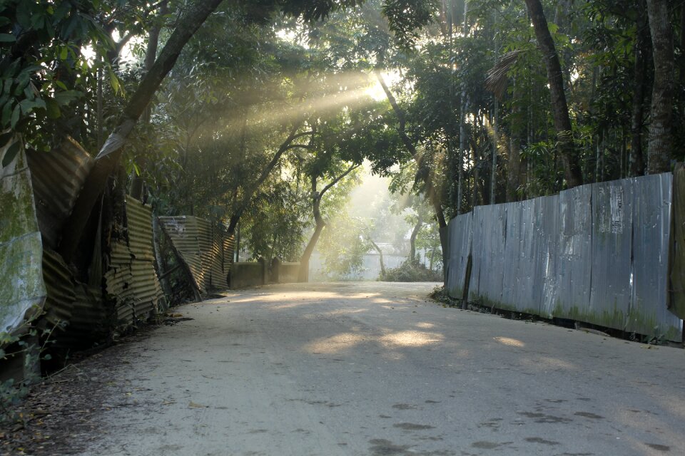 Nature fog environment