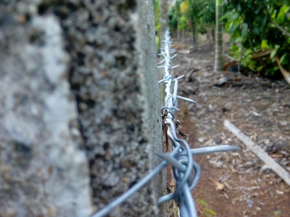 Leak barbed wire Free photos