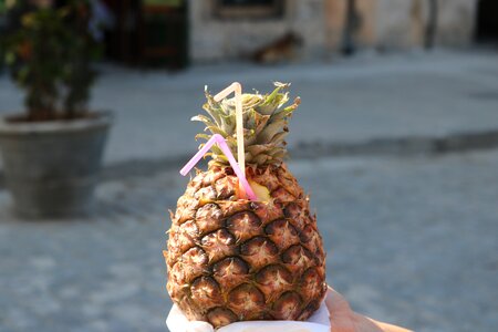 Fruit summer pineapple