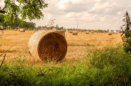Landscape straw rural district