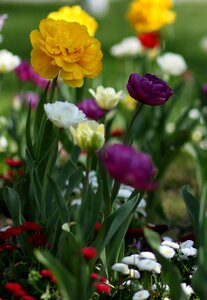 Supplies coloring spring