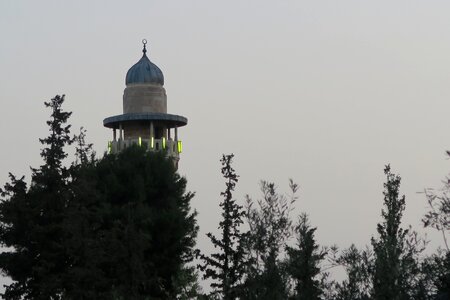 Cami masjid tree photo