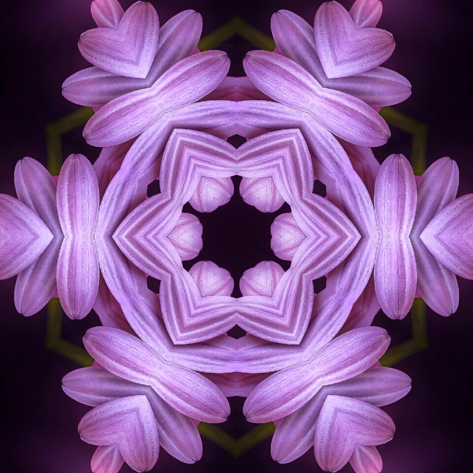 Kaleidoscope purple flower