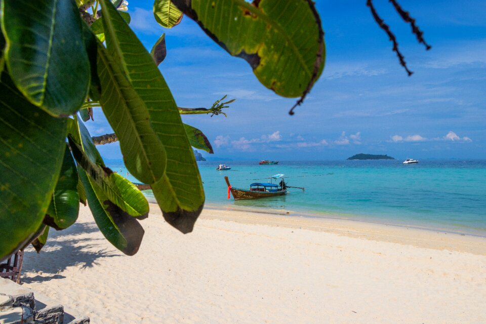 The tropical the coast summer