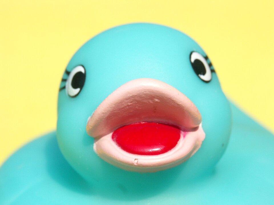 Funny desktop background duck