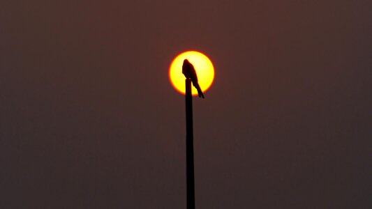This type evening glow solar