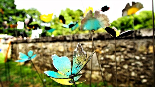 Outdoor good looking art