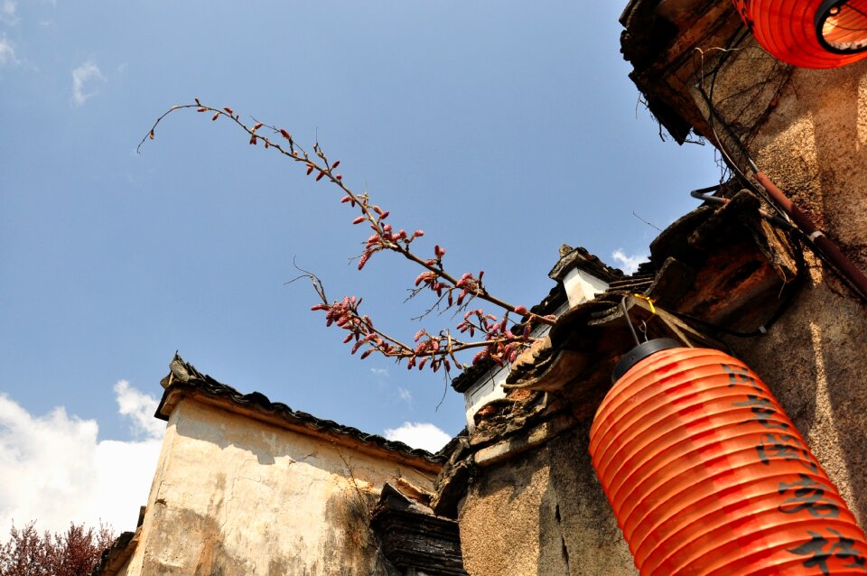 Tourism hongcun village house