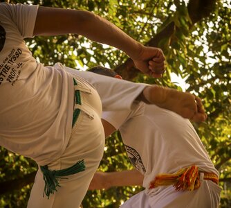 Martial art sport popular culture photo