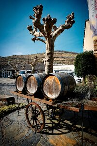 Ahrweiler wine barrel winegrowing photo