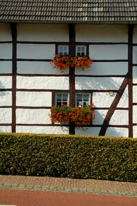 Building garden white photo