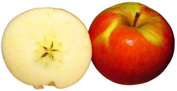 Food diet organic