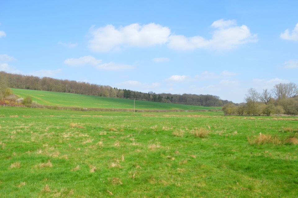 Field panoramic outdoors