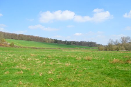 Field panoramic outdoors photo