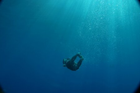 Nature ocean diving