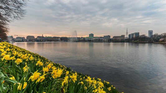 Nature reflection alster