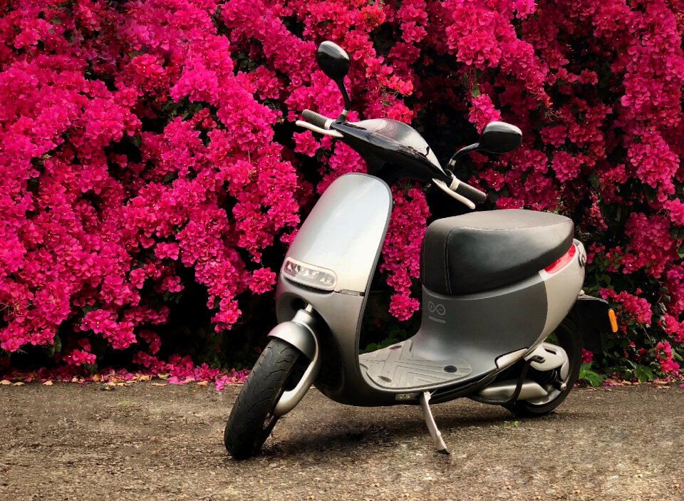 Gogoro rui can taiwan