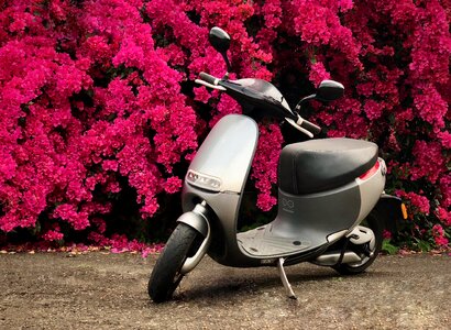 Gogoro rui can taiwan