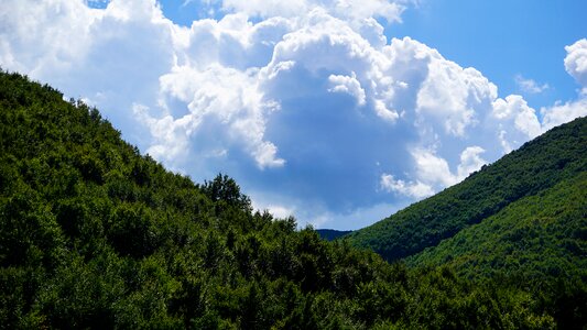 Sky landscape tree