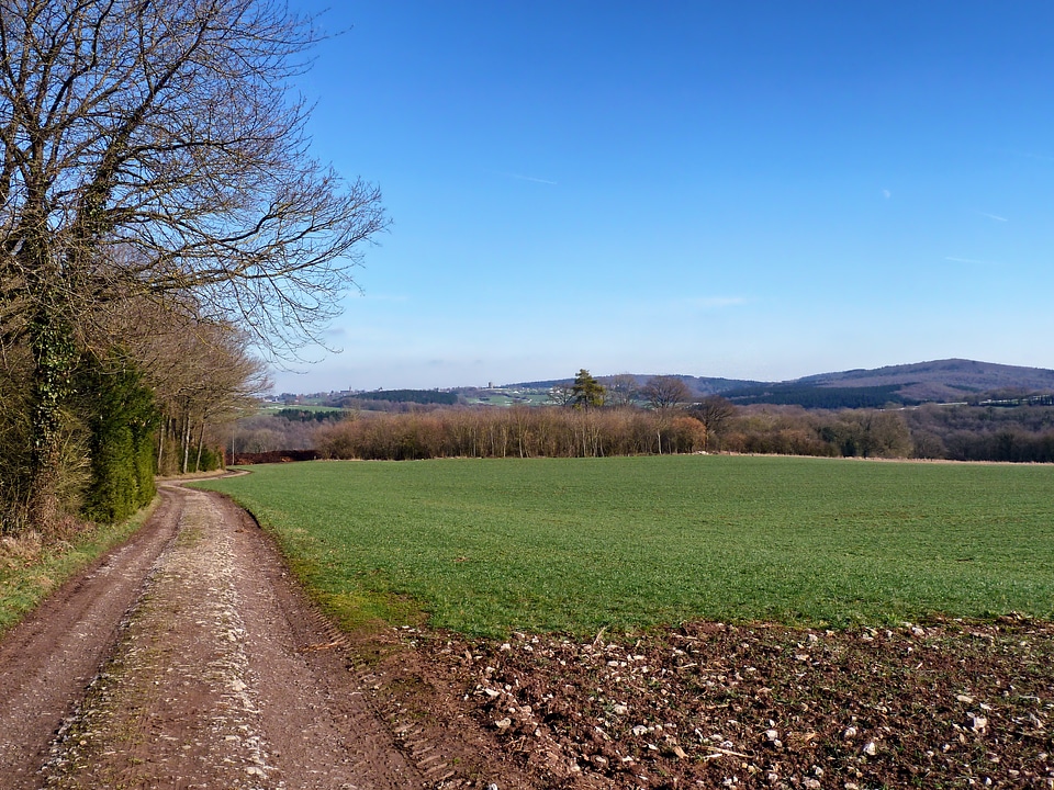 Scenic mountains fields