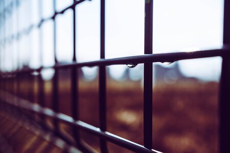 Travel wall nature