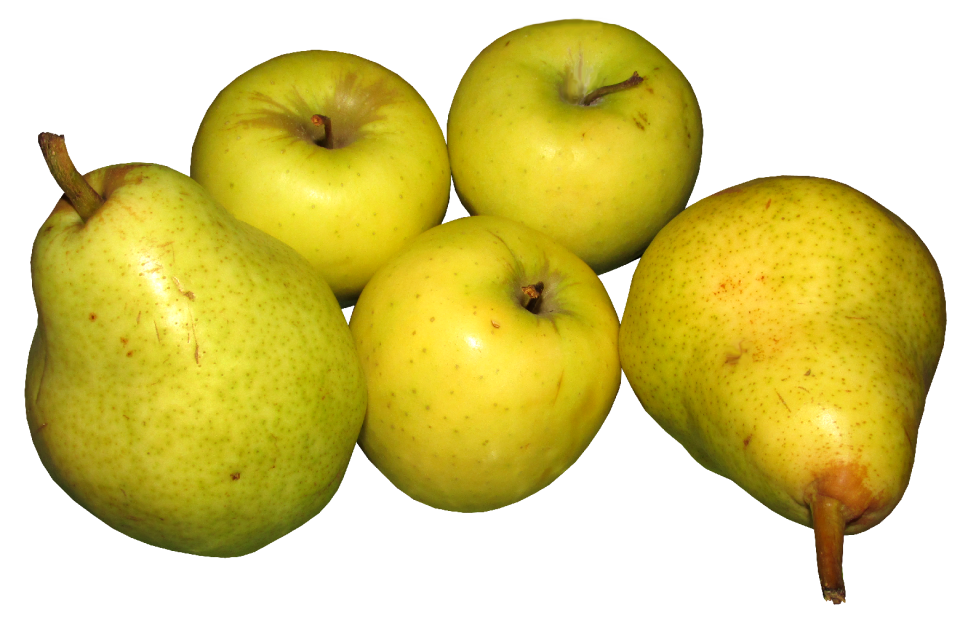 Organic food diet