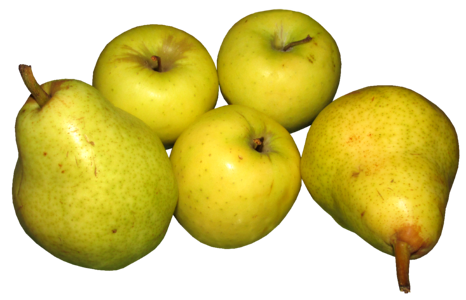 Organic food diet