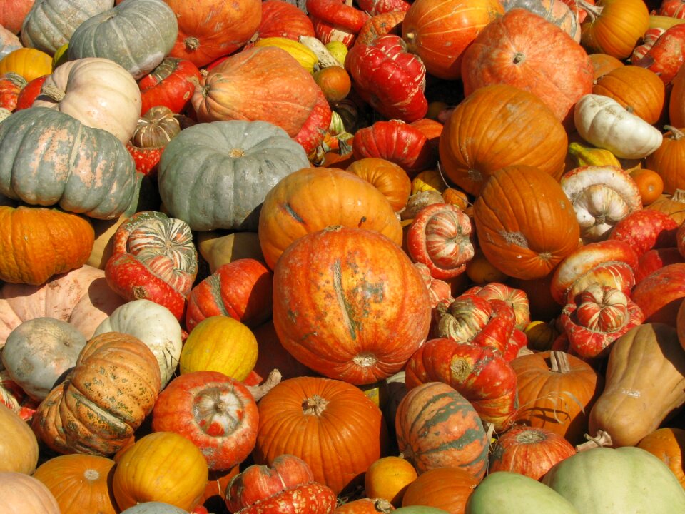 Market food vegetable