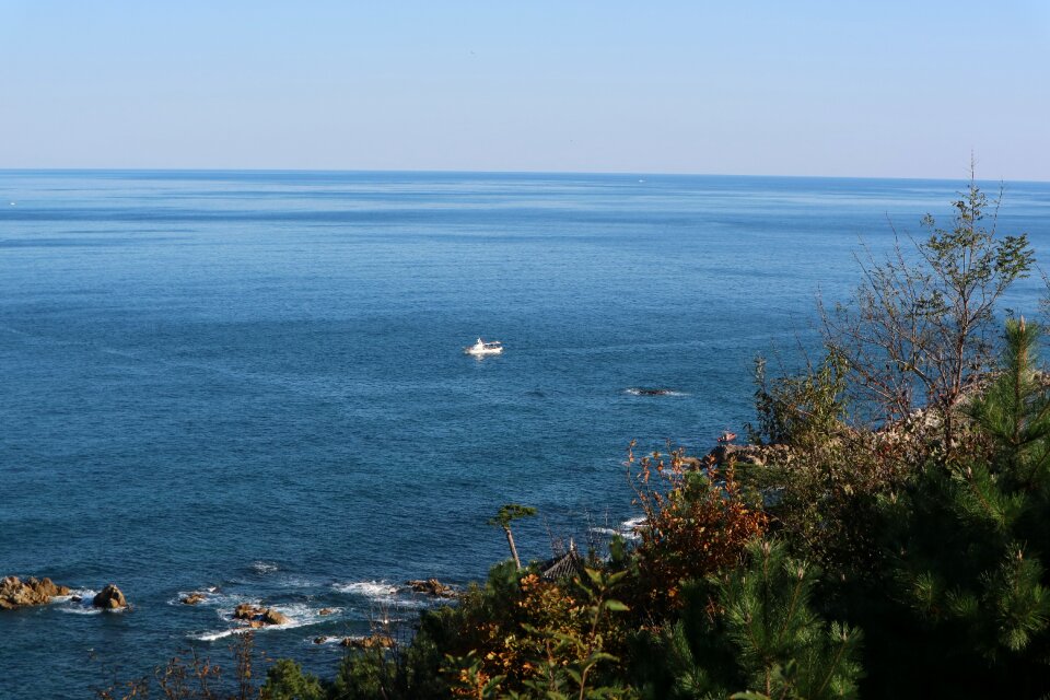 Sea nature coast