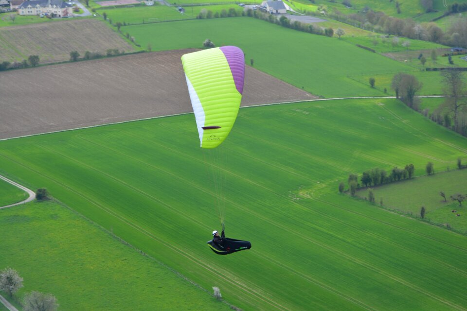 Wing color green purple lawn nature