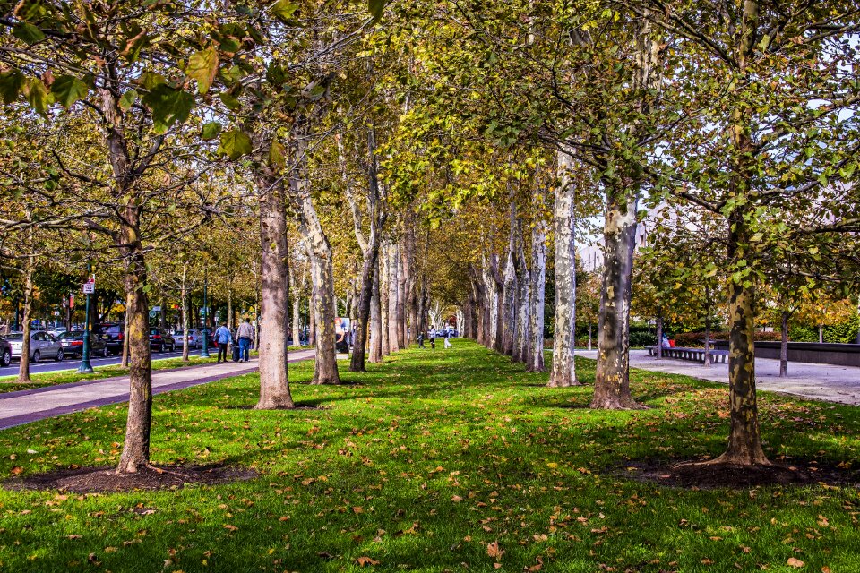 Wood park philadelphia