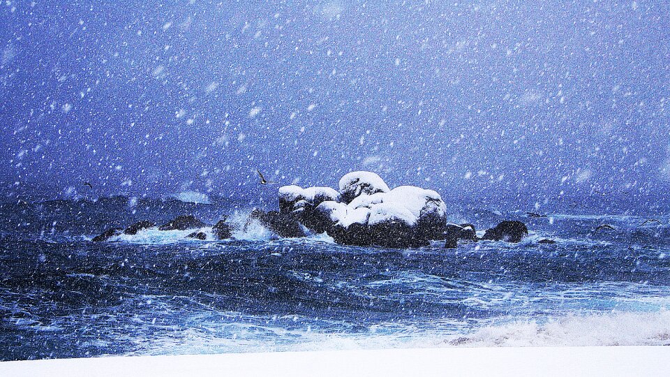 Snow a snowy day gangneung