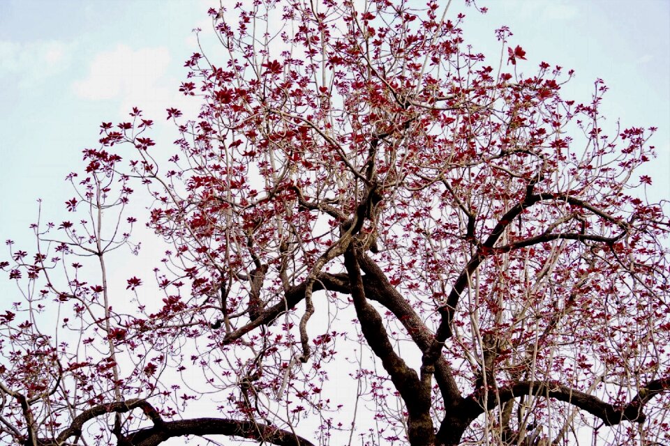 Season park