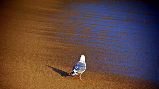 Sea beach coastal