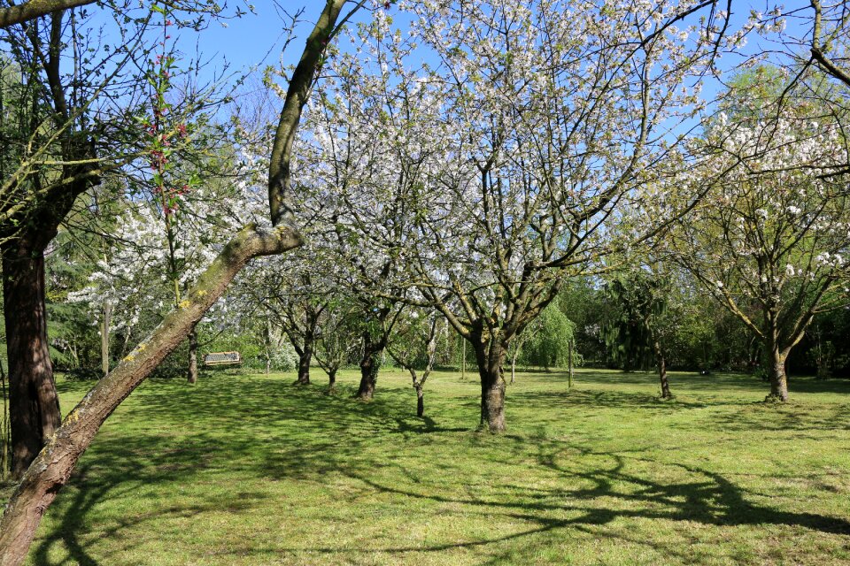 Season lawn garden